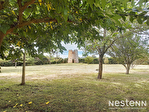 31450 MONTESQUIEU LAURAGAIS - Maison 2