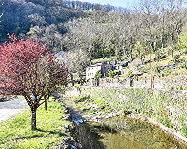 Maison de village en pierre a renover 200 m2 en bordure de riviere dans le Parc Naturel regional du Haut Languedoc