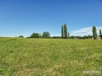 32250 FOURCES - Terrain 3