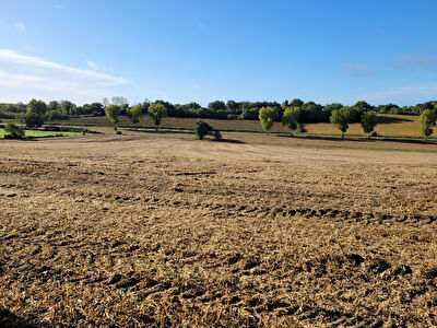 A VENDRE LOT DE DEUX PARCELLES DONT UNE CONSTRUCTIBLE.