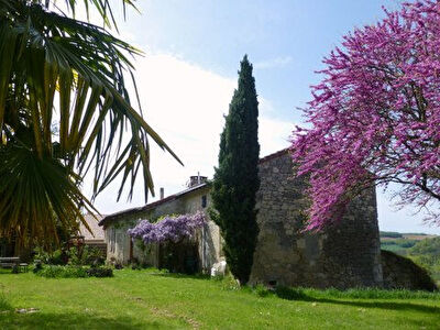 A vendre Maison Clermont Dessous 5 pieces 140 m2
