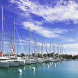 97110 POINTE A PITRE - Commerce 2