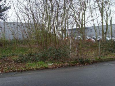Terrain Le Mans