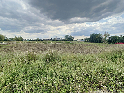 Terrain - Seiches sur le Loir