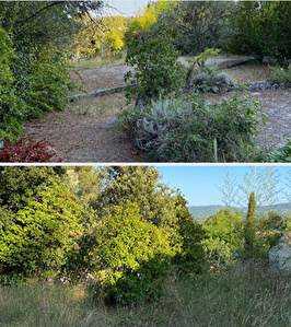 Terrain Rousset 318 m2