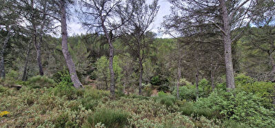 Terrain non constructible