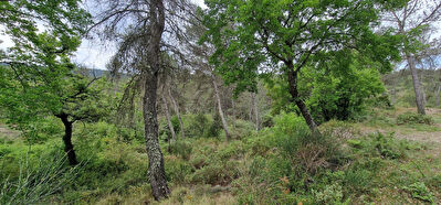 Terrain Trets non constructible