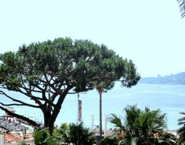 Appartement Juan les Pins 3 pieces 72 m2 vue mer + double garage + cave