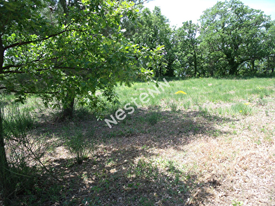 CASENEUVE, TERRAIN CONSTRUCTIBLE DE 1947 M2