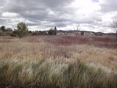 TERRAIN CONSTRUCTIBLE 700 m2