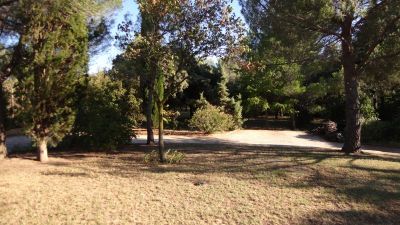 Terrain Les Angles 1000 m2