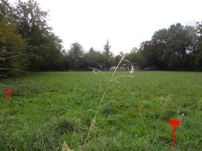 Terrain Le Pontet 1015 m2