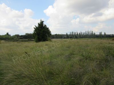 Domaine agricole Pujaut 40000 m2