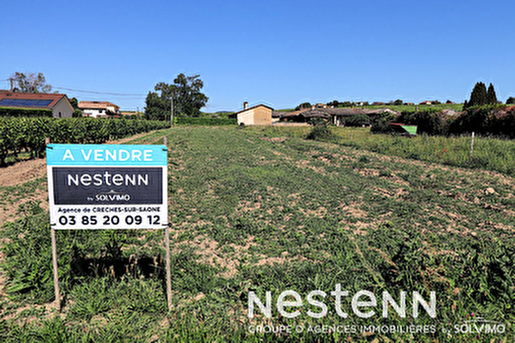 Terrain a Batir 1598 m2 - 71570 CHAINTRE