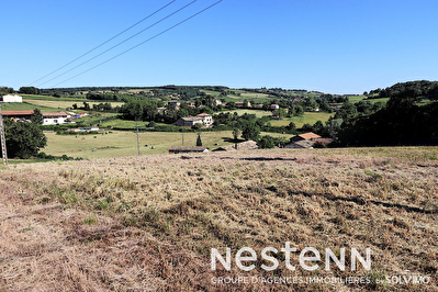 Terrain a Batir 1393 m2 - 71870 HURIGNY