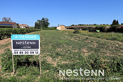 Terrain a Batir 1598 m2 - 71570 CHAINTRE