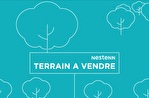 71570 CHAINTRE - Terrain