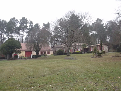 Cadre idyllique pour ces deux maisons sur 15Ha
