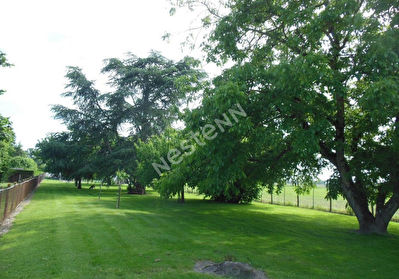 Beau terrain entierement cloture proche des commerces !