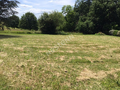 Terrain de 1000 m2 a Sainte-Foy des Vignes