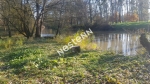 41250 MONT PRES CHAMBORD - Terrain