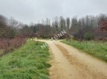 41250 MONT PRES CHAMBORD - Terrain
