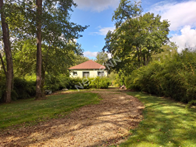 Maison Moree 3 pieces 71 m2