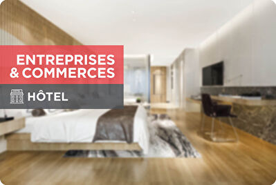 41.Fonds de Commerce Hotel/Restaurant Noyers/Cher