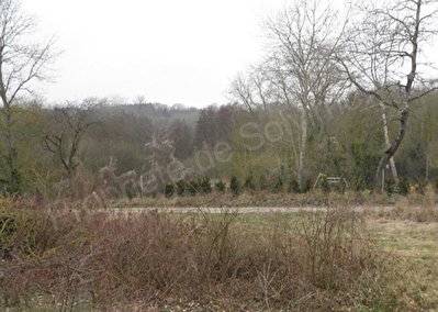 Terrain Etampes 1600 m2