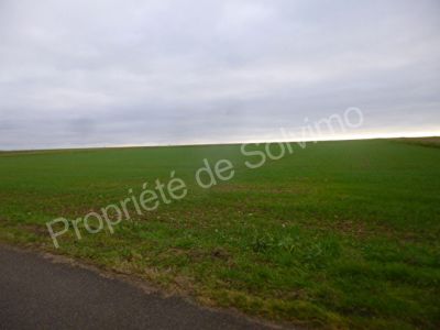 Terrain Pithiviers 1000 m2
