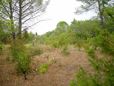 TERRAIN CONSTRUCTIBLE LE VAL - 1191 m2