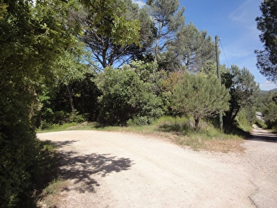 Terrain non constructible en nature de bois - Brignoles - 3510 m2