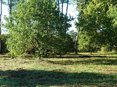 TERRAIN A BATIR CAPBRETON - 780 m2