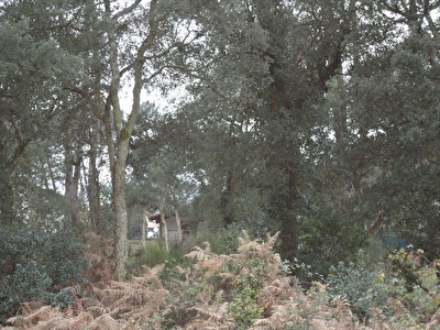 TERRAIN a batir CAPBRETON - 1100 m2