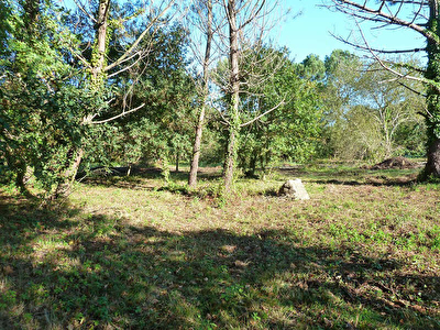 TERRAIN A BATIR CAPBRETON - 855 m2