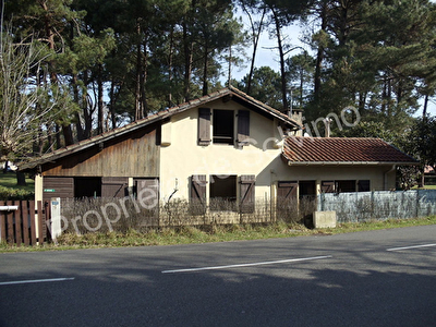 Maison Soorts Hossegor 3 pieces 50 m2