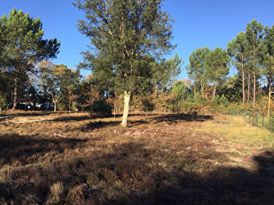 Terrain Seignosse 2000 m2