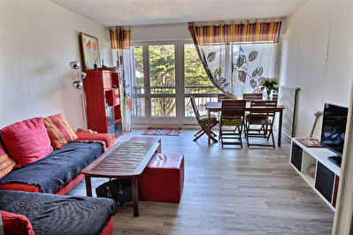 Appartement meuble 2 pieces 45m2
