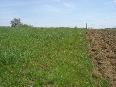 TERRAIN A BATIR AURIGNAC - 2500 m2
