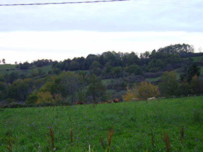 TERRAIN A BATIR Sect Ste Croix Volvestre - 3425 m2