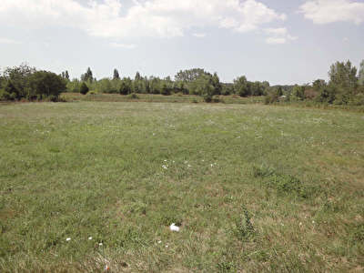 TERRAIN A LOTIR BOUSSENS - 7335 m2