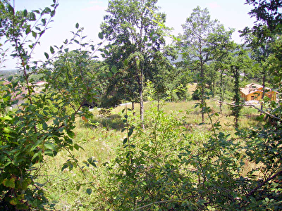 TERRAIN A BATIR BOUSSENS - 3014 m2