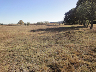INDUSTRIEL ET ARTISANAL CAZERES - 3417 m2