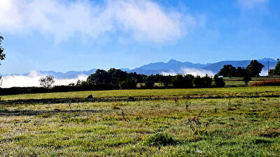 A vendre Terrain secteur Boussens d'une superficie de 1000 m2