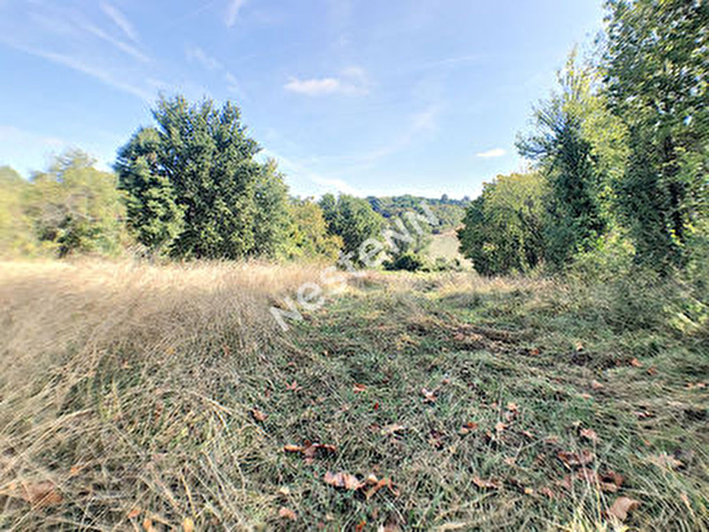 Terrain viabilise en electricite secteur Aurignac