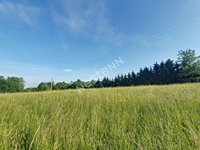 A vendre terrain viabilise de 2250m2 secteur Cazeres