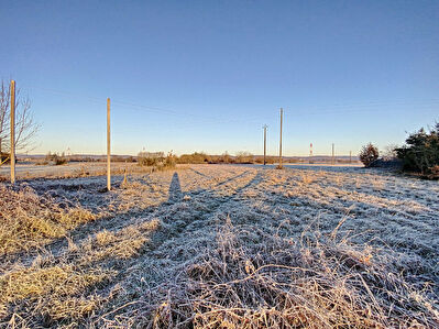 A vendre terrain industriel constructible d'1,4 hectares env.