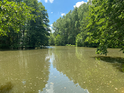 Etang a 10 min de Montreuil aux llons et de l'autoroute A/4