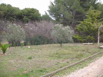 TERRAIN A BATIR ENSUES LA REDONNE - 310 m2