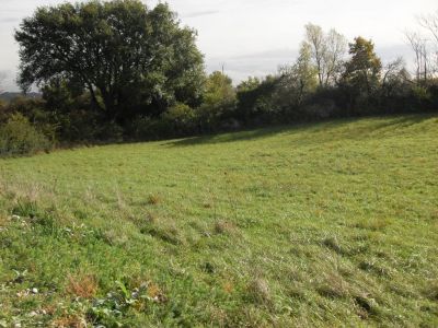 Terrain 702 m2